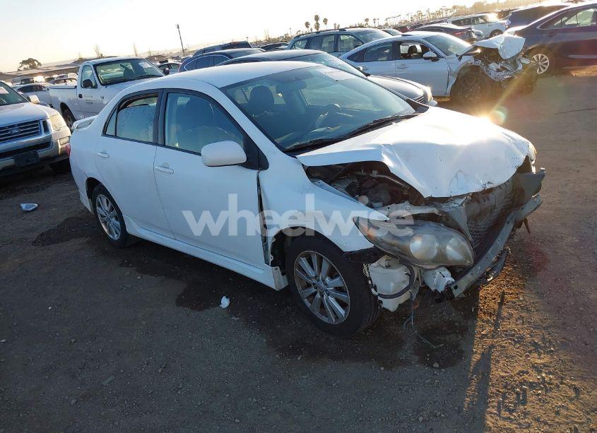 2010 Toyota Corolla S (VIN 1NXBU4EE1AZ375569) main photo