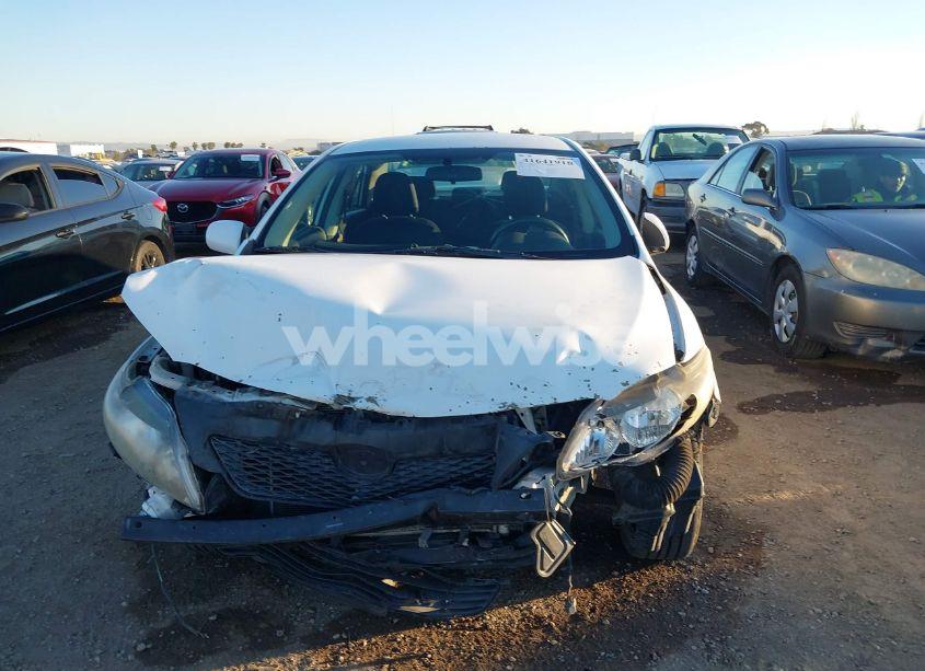 Photo 6 of 2010 Toyota Corolla S (VIN 1NXBU4EE1AZ375569)