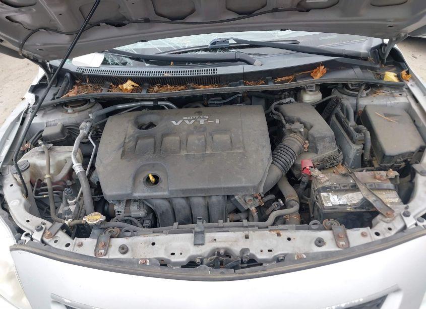 Photo 10 of 2010 Toyota Corolla LE (VIN 1NXBU4EE2AZ177969)