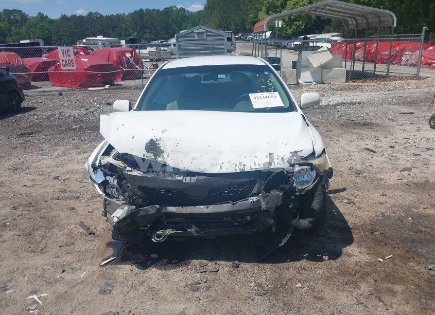 Photo 12 of 2010 Toyota Corolla LE (VIN 1NXBU4EE2AZ189121)