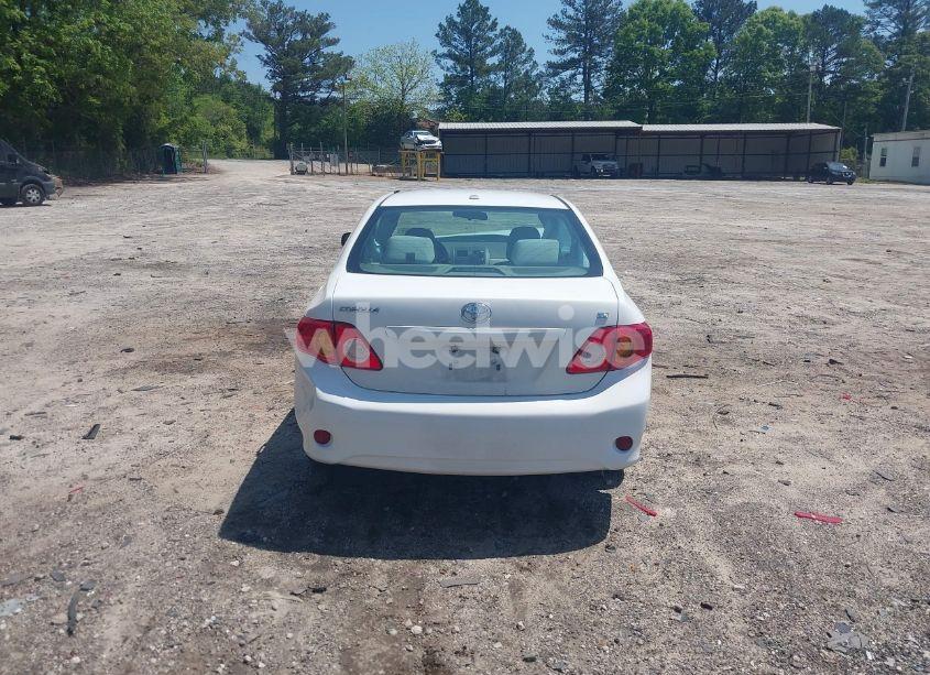 Photo 16 of 2010 Toyota Corolla LE (VIN 1NXBU4EE2AZ189121)