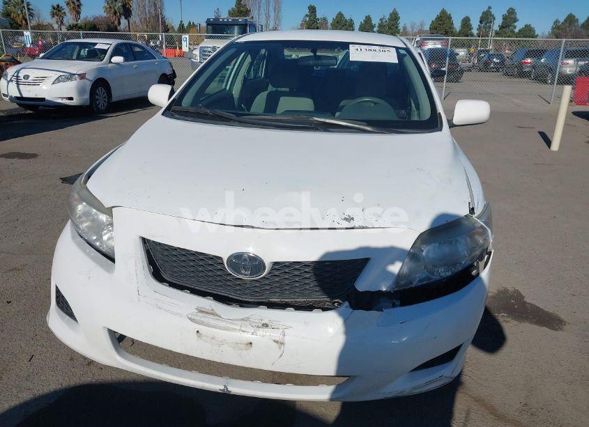 Photo 12 of 2010 Toyota Corolla LE (VIN 1NXBU4EE2AZ190415)