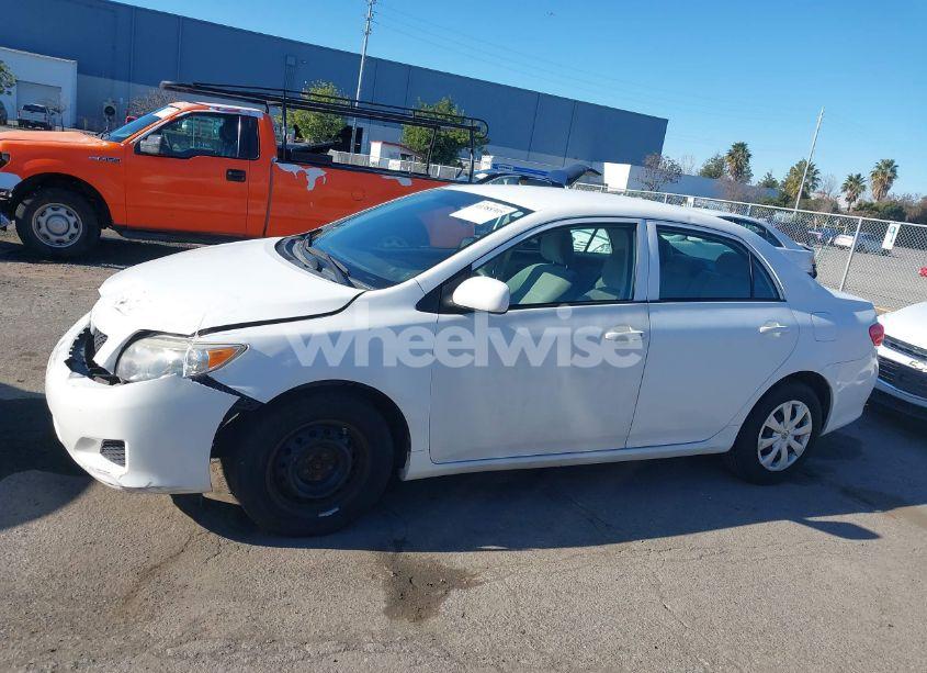 Photo 14 of 2010 Toyota Corolla LE (VIN 1NXBU4EE2AZ190415)