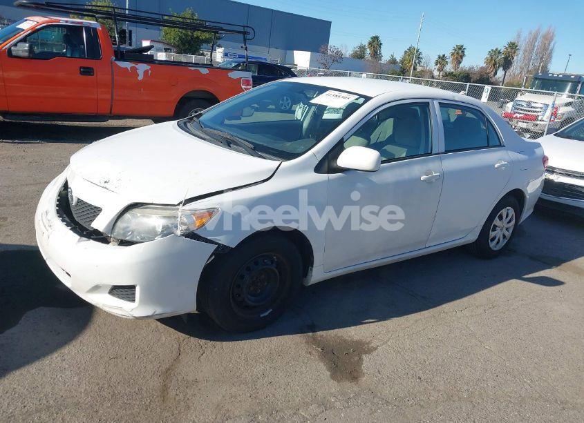 Photo 2 of 2010 Toyota Corolla LE (VIN 1NXBU4EE2AZ190415)