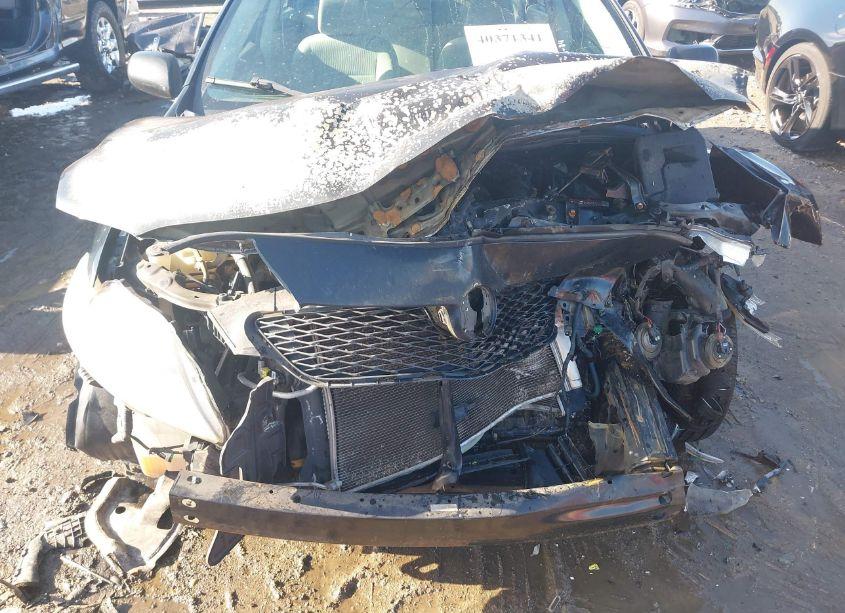 Photo 6 of 2010 Toyota Corolla LE (VIN 1NXBU4EE2AZ227463)