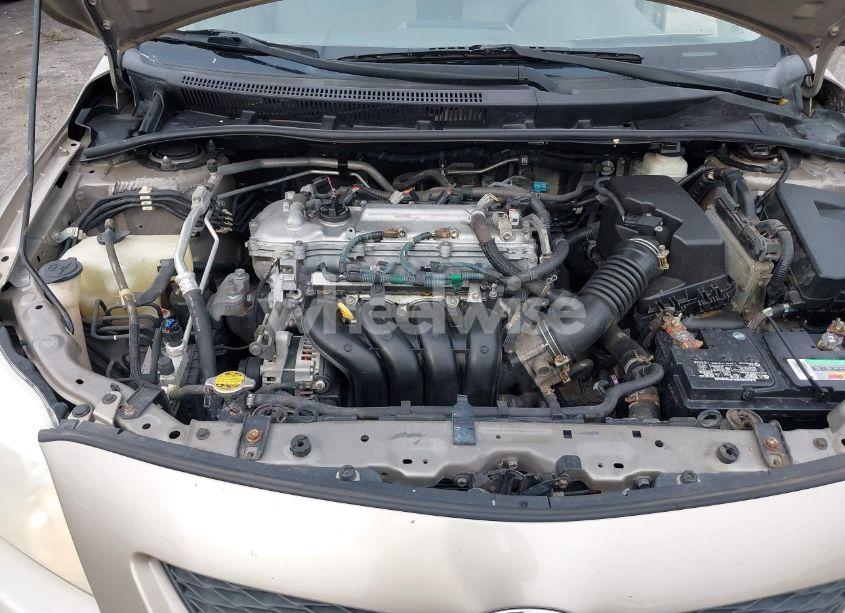 Photo 10 of 2010 Toyota Corolla (VIN 1NXBU4EE2AZ236602)