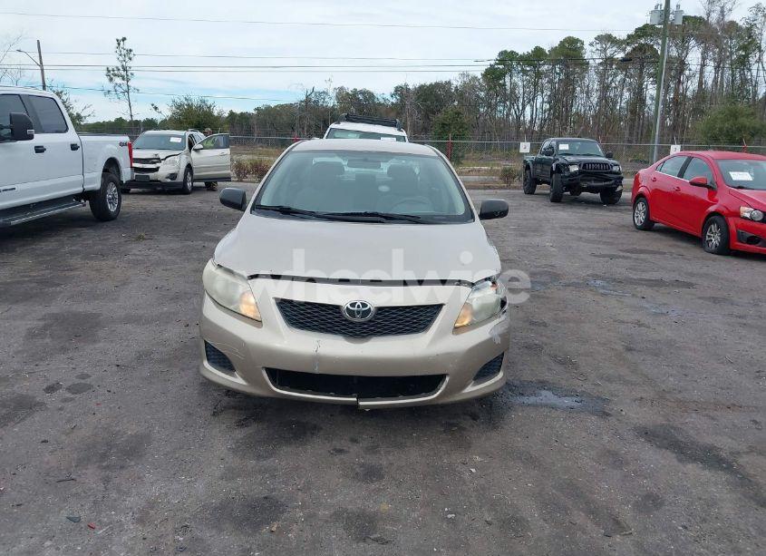 Photo 12 of 2010 Toyota Corolla (VIN 1NXBU4EE2AZ236602)