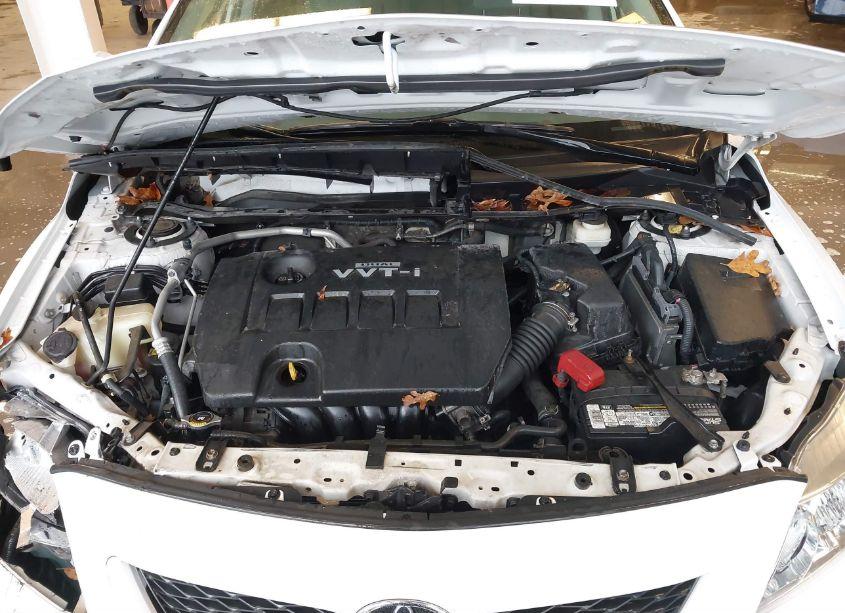 Photo 10 of 2010 Toyota Corolla LE (VIN 1NXBU4EE2AZ251987)