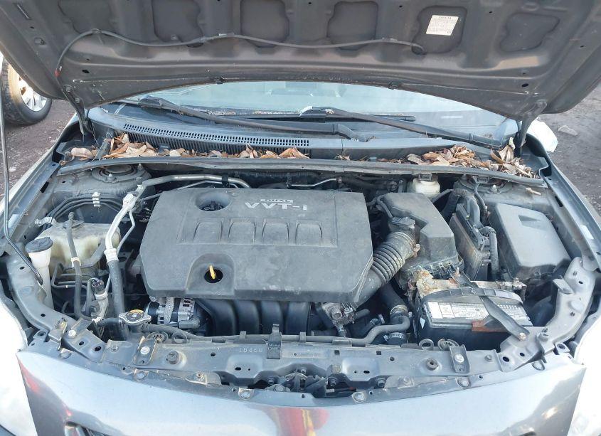 Photo 10 of 2010 Toyota Corolla LE (VIN 1NXBU4EE2AZ269406)