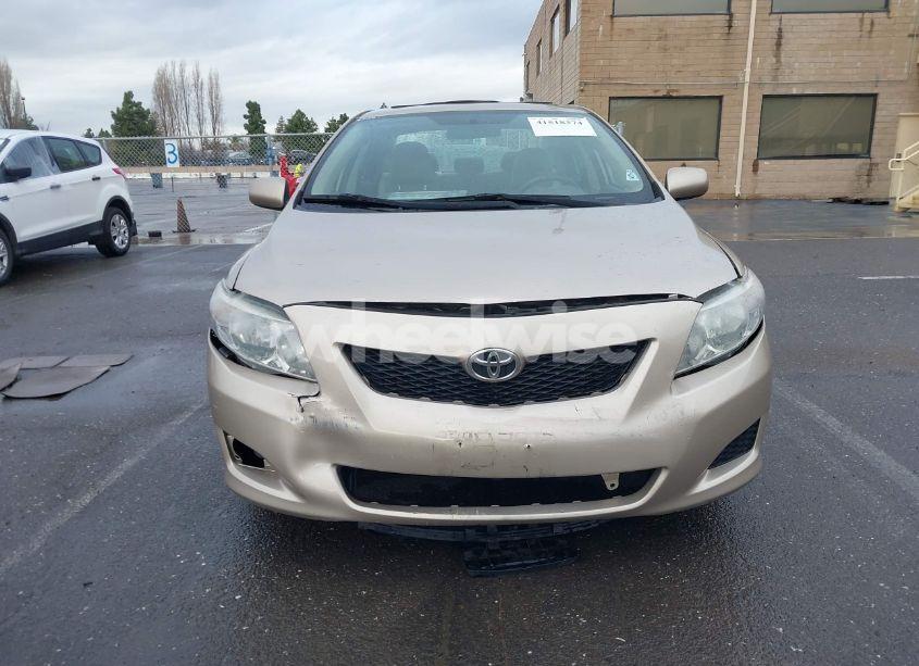 Photo 12 of 2010 Toyota Corolla XLE (VIN 1NXBU4EE2AZ271351)