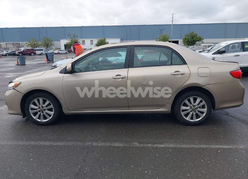 Photo 14 of 2010 Toyota Corolla XLE (VIN 1NXBU4EE2AZ271351)