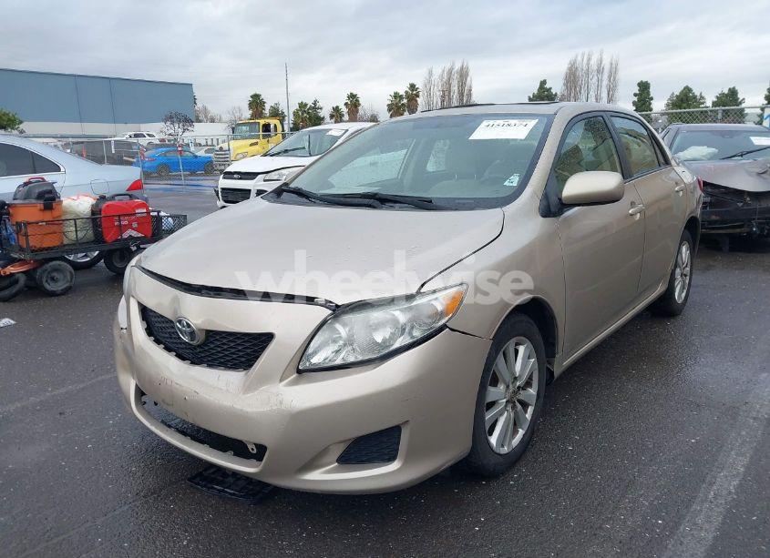 Photo 2 of 2010 Toyota Corolla XLE (VIN 1NXBU4EE2AZ271351)