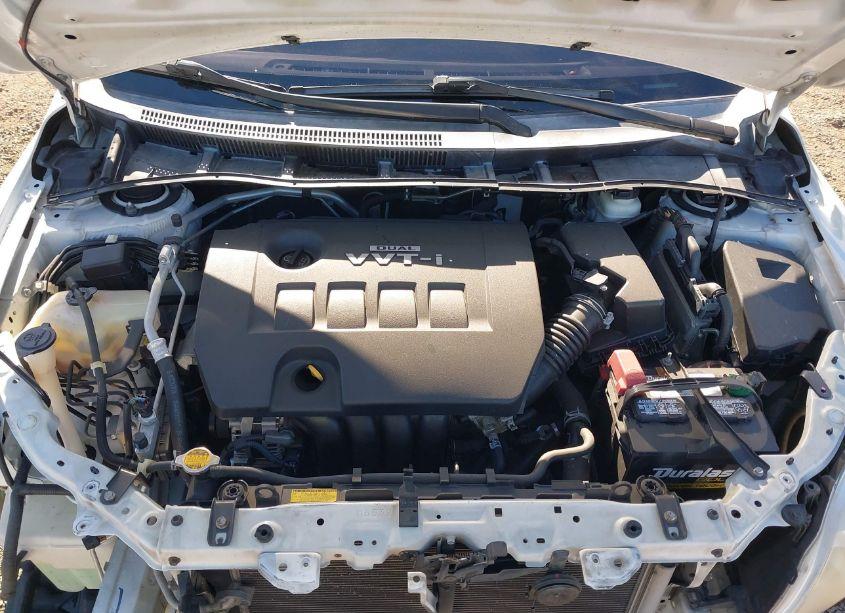 Photo 10 of 2010 Toyota Corolla LE (VIN 1NXBU4EE2AZ306759)