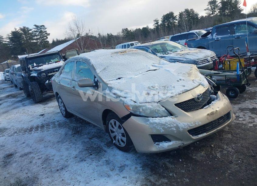 2010 Toyota Corolla LE (VIN 1NXBU4EE2AZ307796) main photo