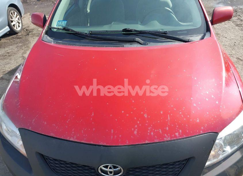 Photo 12 of 2010 Toyota Corolla LE (VIN 1NXBU4EE2AZ310908)