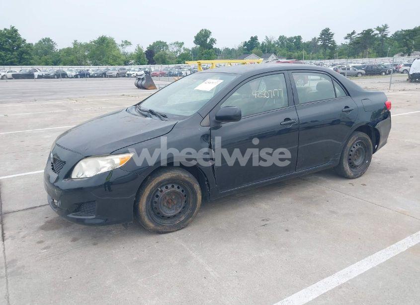 Photo 2 of 2010 Toyota Corolla LE (VIN 1NXBU4EE2AZ317521)