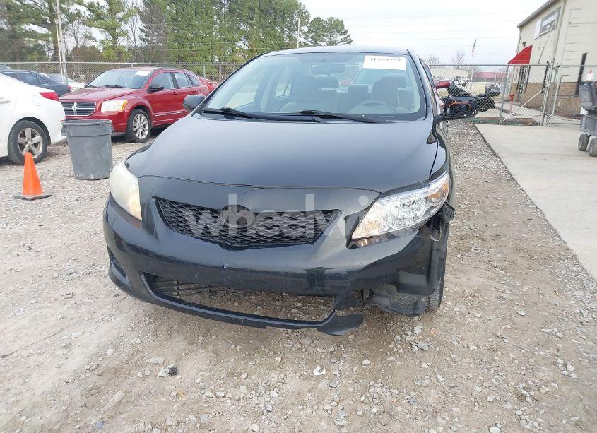 Photo 6 of 2010 Toyota Corolla LE (VIN 1NXBU4EE2AZ354018)