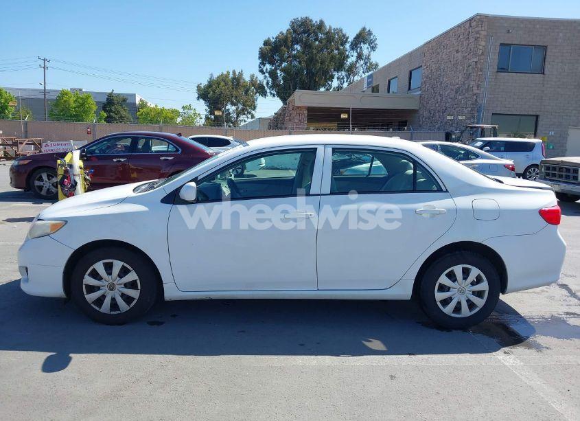 Photo 14 of 2010 Toyota Corolla LE (VIN 1NXBU4EE2AZ355072)