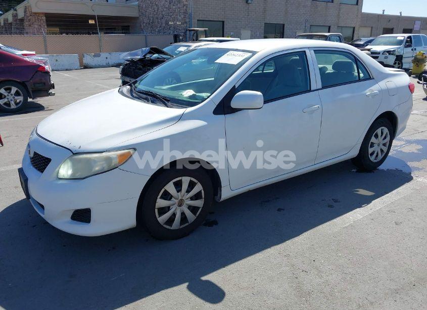 Photo 2 of 2010 Toyota Corolla LE (VIN 1NXBU4EE2AZ355072)