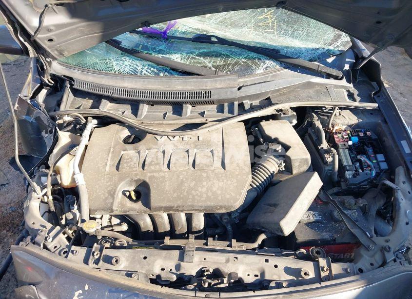 Photo 10 of 2010 Toyota Corolla LE (VIN 1NXBU4EE2AZ383017)