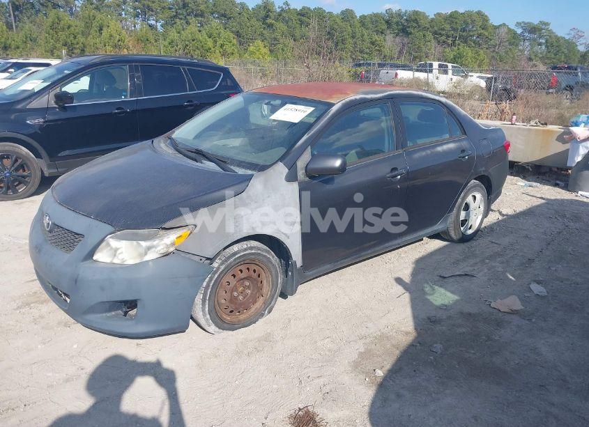 Photo 2 of 2010 Toyota Corolla LE (VIN 1NXBU4EE3AZ209196)