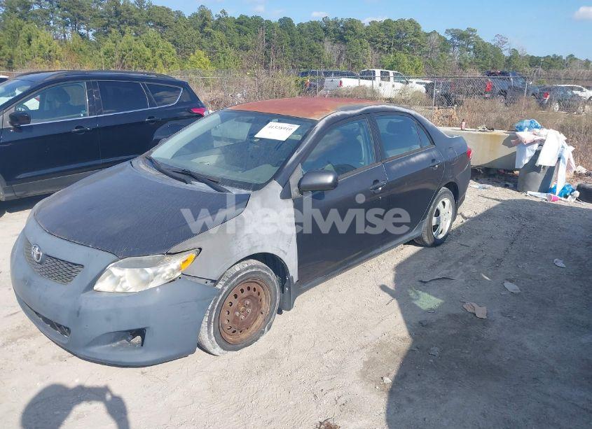 Photo 6 of 2010 Toyota Corolla LE (VIN 1NXBU4EE3AZ209196)