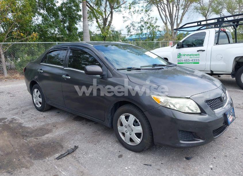 2010 Toyota Corolla LE (VIN 1NXBU4EE3AZ243090) main photo