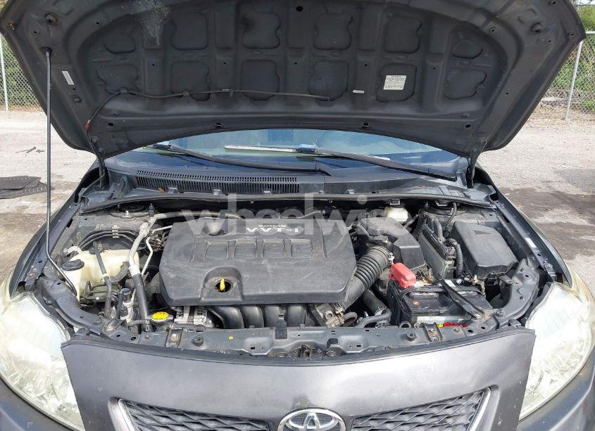 Photo 10 of 2010 Toyota Corolla LE (VIN 1NXBU4EE3AZ243090)