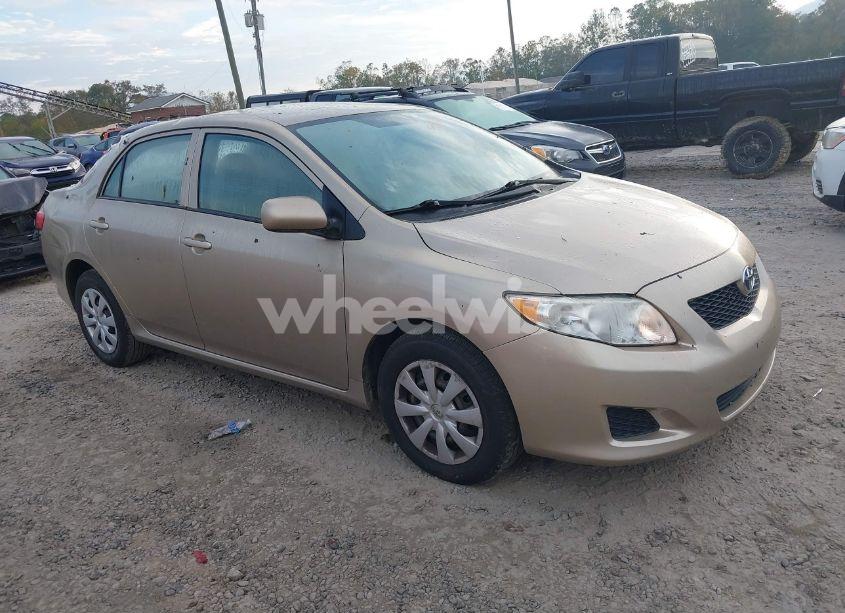 2010 Toyota Corolla LE (VIN 1NXBU4EE3AZ269592) main photo