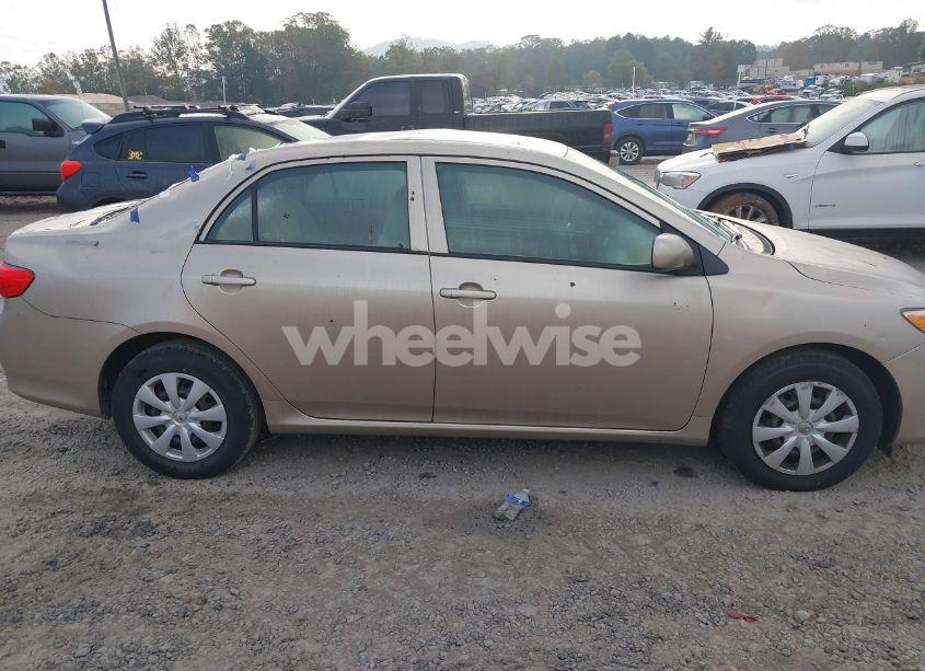 Photo 13 of 2010 Toyota Corolla LE (VIN 1NXBU4EE3AZ269592)