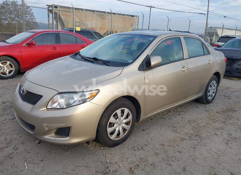 Photo 2 of 2010 Toyota Corolla LE (VIN 1NXBU4EE3AZ269592)