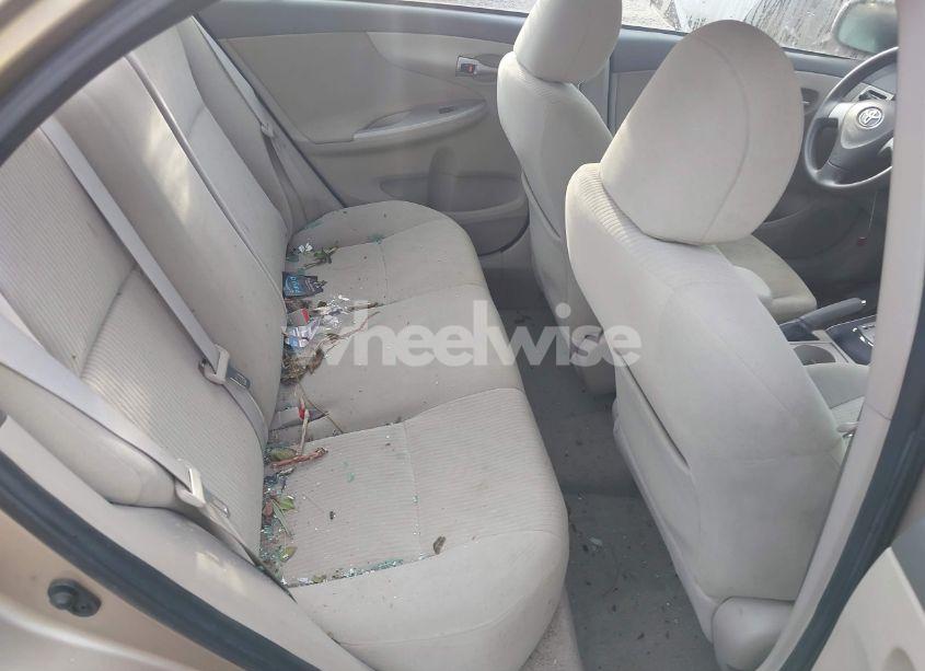 Photo 8 of 2010 Toyota Corolla LE (VIN 1NXBU4EE3AZ269592)