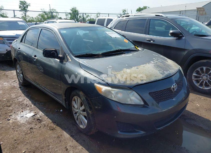 2010 Toyota Corolla LE (VIN 1NXBU4EE3AZ273495) main photo