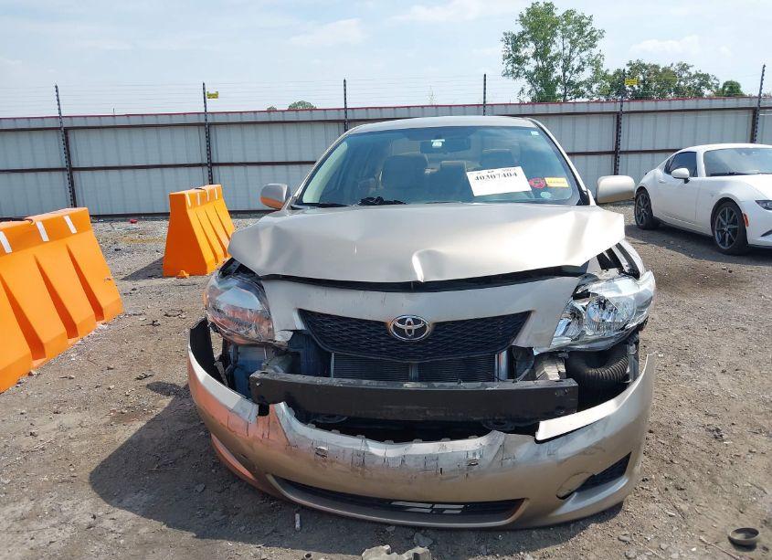 Photo 12 of 2010 Toyota Corolla LE (VIN 1NXBU4EE3AZ287994)