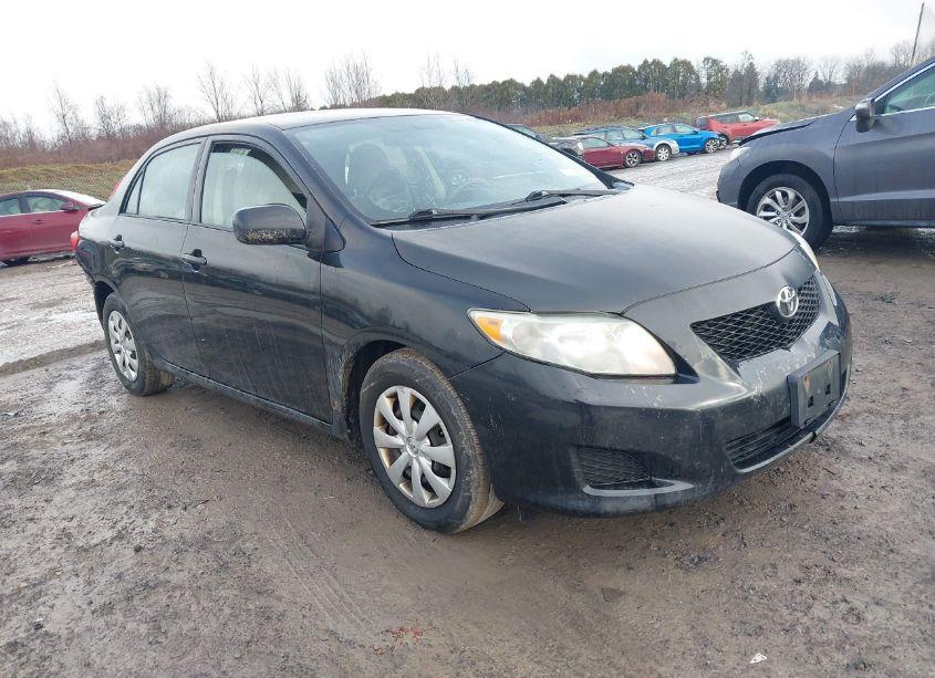 2010 Toyota Corolla LE (VIN 1NXBU4EE3AZ326504) main photo