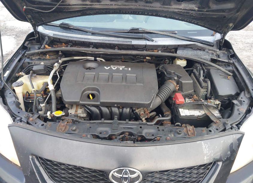 Photo 10 of 2010 Toyota Corolla LE (VIN 1NXBU4EE3AZ326504)