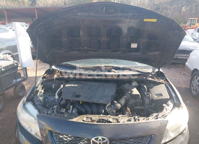 Photo 10 of 2010 Toyota Corolla LE (VIN 1NXBU4EE3AZ386069)