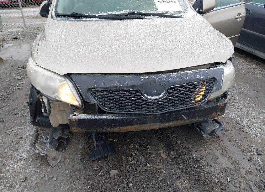 Photo 6 of 2010 Toyota Corolla LE (VIN 1NXBU4EE4AZ189525)