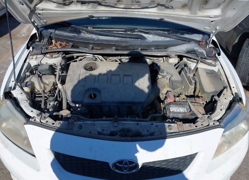 Photo 10 of 2010 Toyota Corolla (VIN 1NXBU4EE4AZ203133)