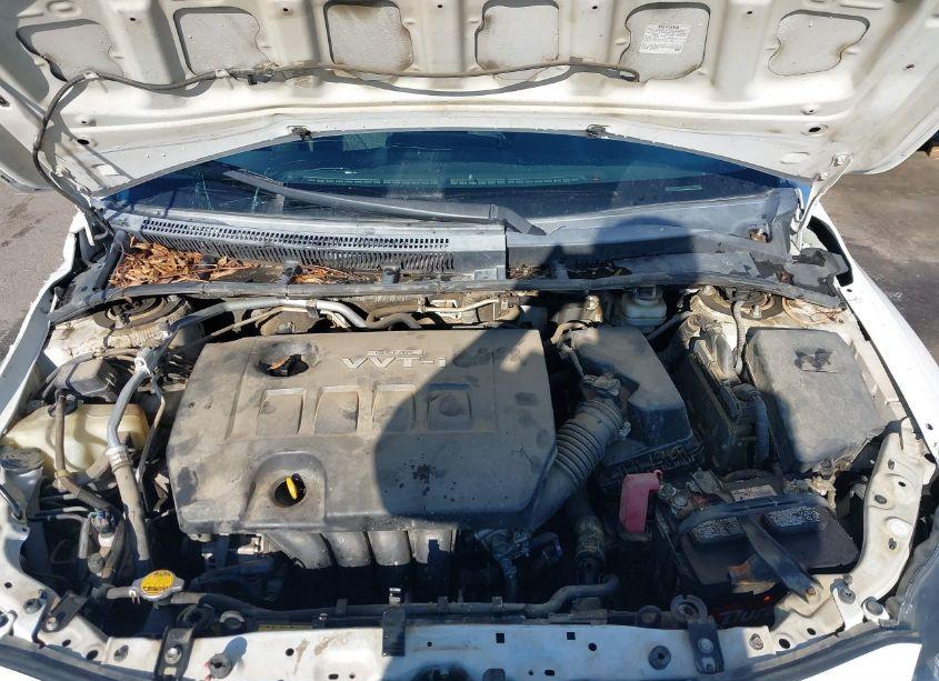 Photo 10 of 2010 Toyota Corolla S (VIN 1NXBU4EE4AZ271397)