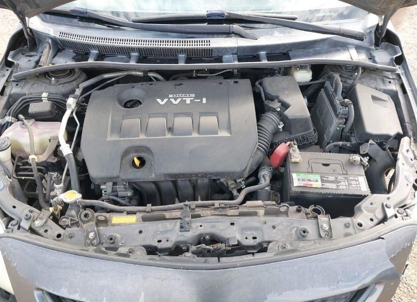 Photo 10 of 2010 Toyota Corolla LE (VIN 1NXBU4EE4AZ315530)