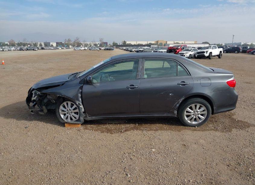 Photo 14 of 2010 Toyota Corolla LE (VIN 1NXBU4EE4AZ315530)