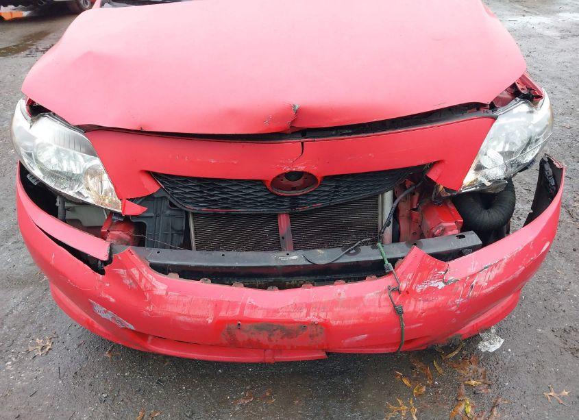 Photo 6 of 2010 Toyota Corolla LE (VIN 1NXBU4EE4AZ347233)