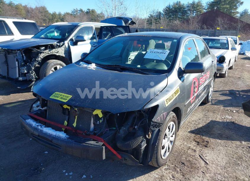 Photo 2 of 2010 Toyota Corolla LE (VIN 1NXBU4EE4AZ349161)