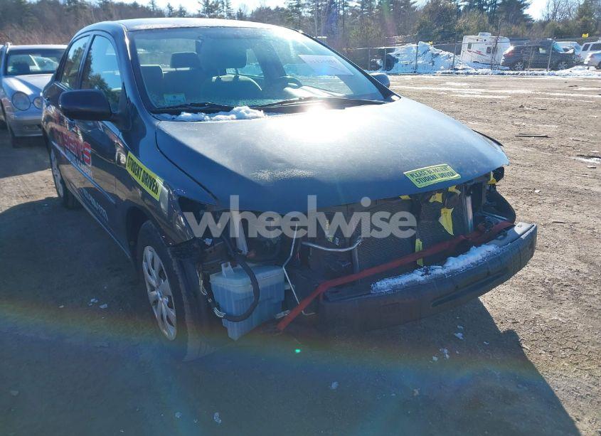 Photo 6 of 2010 Toyota Corolla LE (VIN 1NXBU4EE4AZ349161)