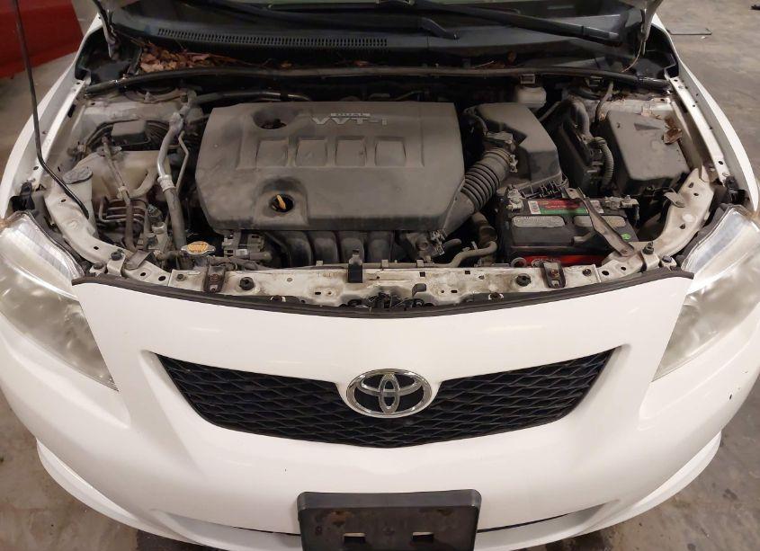 Photo 10 of 2010 Toyota Corolla LE (VIN 1NXBU4EE5AZ264507)