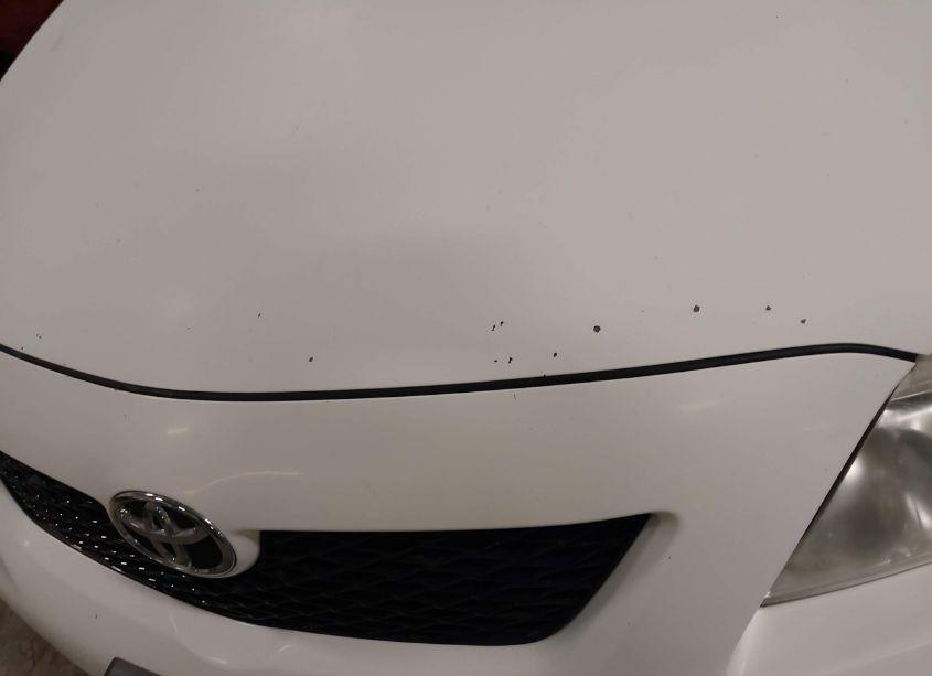 Photo 19 of 2010 Toyota Corolla LE (VIN 1NXBU4EE5AZ264507)