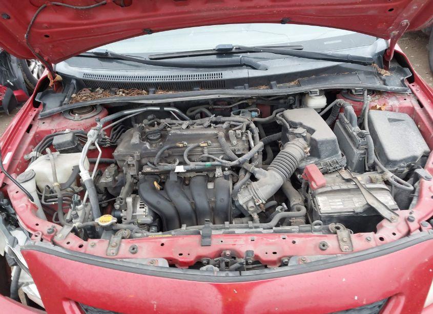 Photo 10 of 2010 Toyota Corolla LE (VIN 1NXBU4EE5AZ289469)