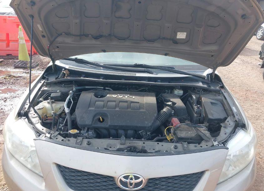 Photo 10 of 2010 Toyota Corolla LE (VIN 1NXBU4EE6AZ211850)