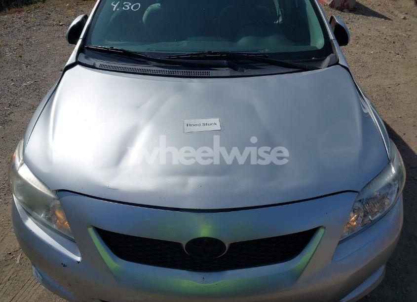 Photo 10 of 2010 Toyota Corolla LE (VIN 1NXBU4EE6AZ243293)